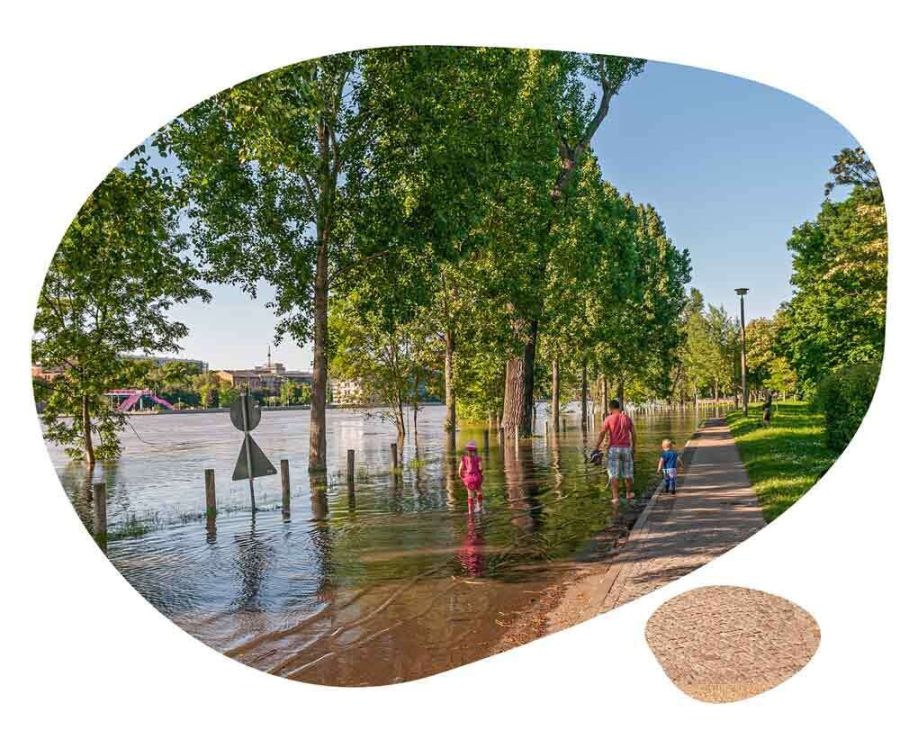 1_-_Zone-inondable-03f65ba8